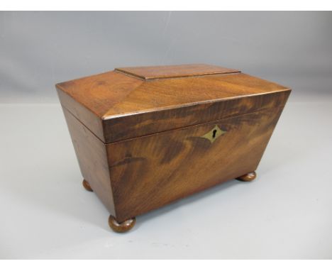 TEA CADDY - Victorian mahogany sarcophagus on bun feet, 16cms H, 25cms W, 14cms D