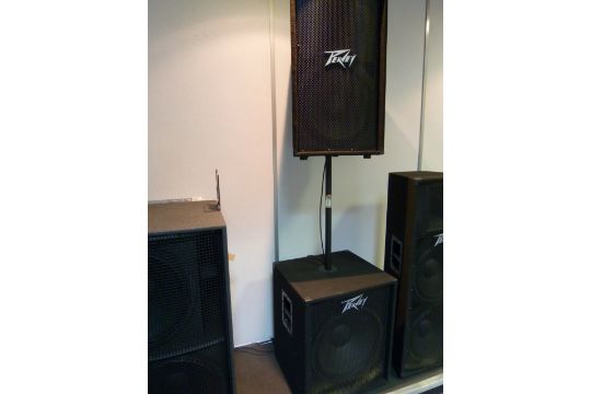 peavey pv118