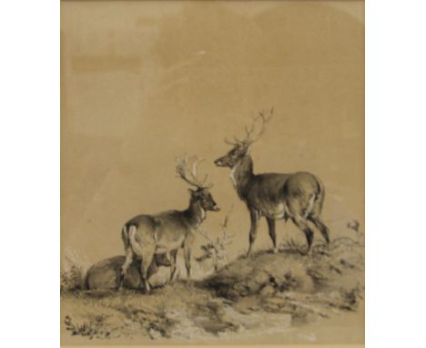 SIR EDWIN LANDSEER (1802-1873) British, Stags, etching, framed and glazed. 25 x 28 cm.