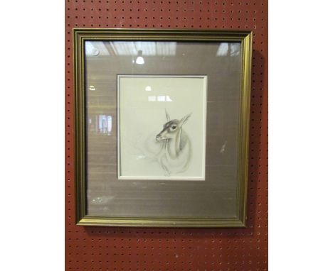 A print after John Skeaping of a recumbent doe, 26cm x 20cm