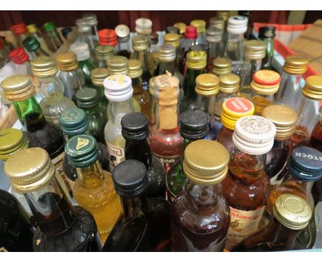 A good quantity of miniature spirits including Martini, The Famous Grouse Scotch whisky 