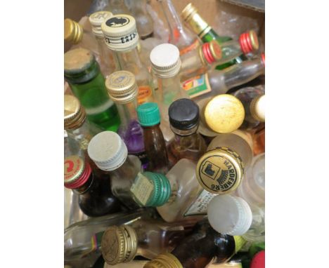 A box of miniatures including Scotch, Jagermeister etc 