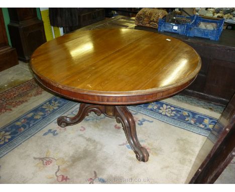 A good Victorian Mahogany snap-top Dining Table, the top 48" diameter raised on a heavy baluster turned pillar terminating in