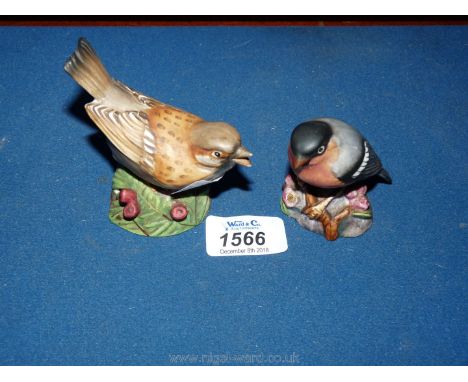 Two Royal Worcester bird figures, a bullfinch and a sparrow (beak a/f) both in matt finish.