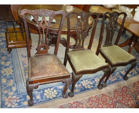 ****Amendment****A pair plus one similar Mahogany Chippendale design Dining Chairs having drop-in seats, cabriole front legs 