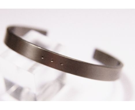 Titanium diamond bangle