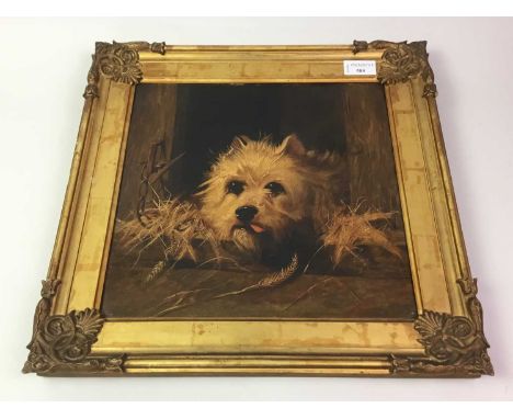 SCOTTISH SCHOOL (19TJ/20TH CENTURY), PORTRAIT OF A TERRIER oil on canvasframed, framer's label verso for Thomas Jackson, Pert