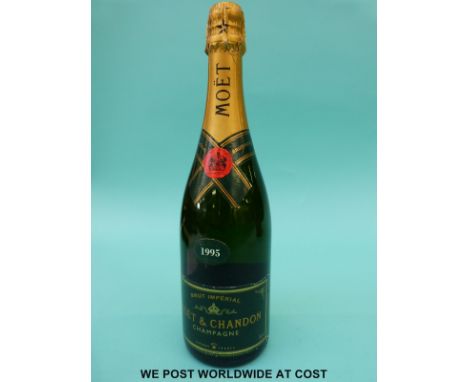 Moet Champagne Price Guide: Is It Expensive? Why Is It Special?