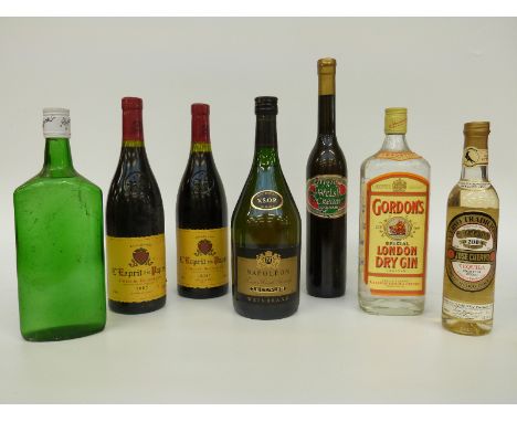 Six bottles of alcohol to include gin, tequila, etc and two bottles of 2007 Espirit des papes Cotes Du Roussillon