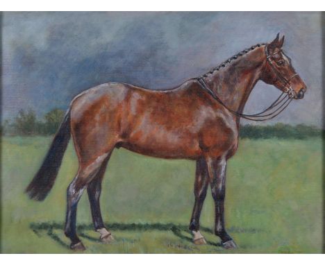 BRITISH EQUESTRIAN SCHOOL, 20TH C - PORTRAIT OF A BRIDLED HUNTER IN A FIELD, OIL ON CANVAS BOARD, 28 X 8.5CM Condition report