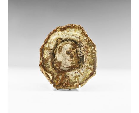 Triassic Period, 252-201 million years BP. A large slice of polished fossilised wood showing growth rings and bark texture. F