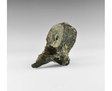 Pleistocene Period, (Devensian), 110,000-12,000 years BP. A large Mammuthus primigenius vertebra. From the collection of the 