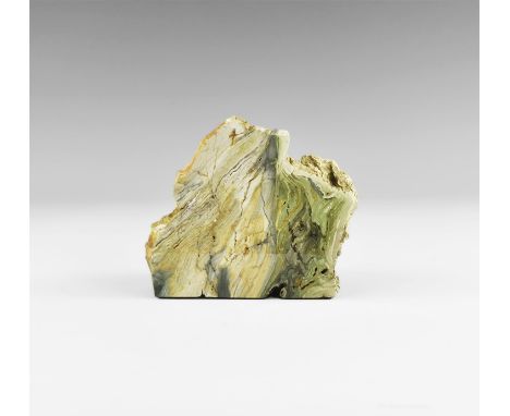 Eocene Period, 56-33 million years BP. A section of free standing Hampton Butte fossil wood with a polished face and jasper a