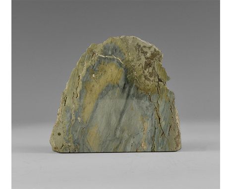Eocene Period, 56-33 million years BP. A section of Hampton Butte fossil wood with a polished face showing details of the gro