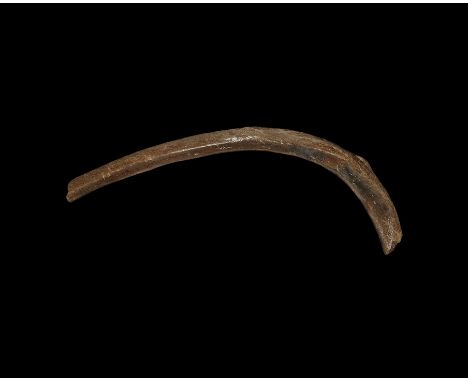 Pleistocene Period, (Devensian), 110,000-12,000 years BP. A Mammuthus primigenius rib bone. From the collection of the palaeo