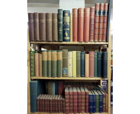 Macgillivray (William). A History of British Birds, Indigenous and Migratory including their organization, habits and relatio