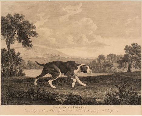 * Stubbs (George, 1724-1806). The Spanish Pointer, published by Thomas Bradford Jany. 1st 1768 [or slightly later], uncoloure