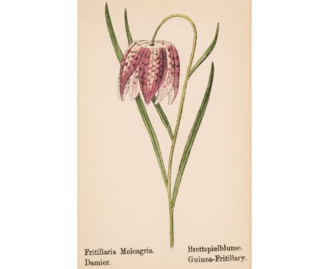 * Botanical. A collection of approximately 250 prints, mostly 19th and 20th-century, engravings and lithographs including exa