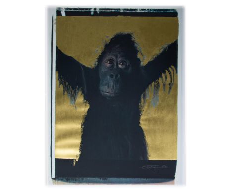 Outstanding original silkscreen on paper entitled Crying Monkey by German autodidact photographer Werner Pawlok who portraits