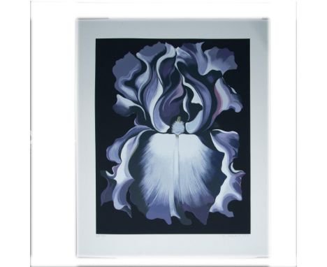 Splendid large scale color screenprint on laid paper entitled White and Violet Iris by Hyperrealist painter and printmaker Lo
