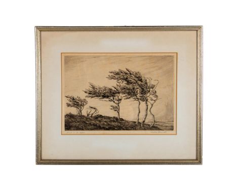 Beautiful original etching on paper entitled Wind in the Trees by British artist Harold Thornton who has represented wind ben