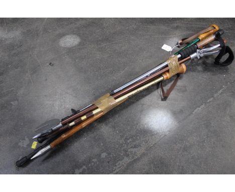 Shooting stick and walking poles 