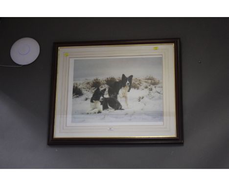 Signed limited edition print by Stephen Townsend, 83/600, two collie dogs in snow, 81 cm x 67 cm 