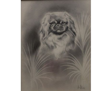 J W Hellins Portrait of a Pekingese Dog signed, pencil drawing, 24.5cm x 19cm