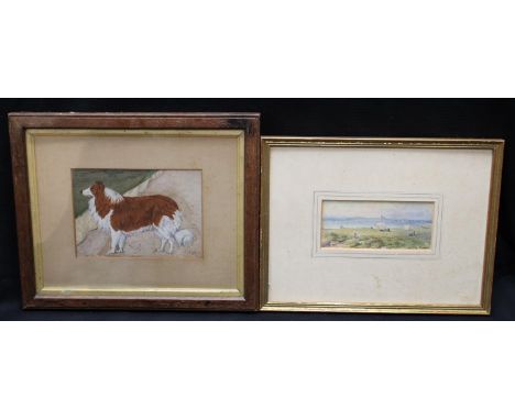 English School (early 20th century)Portrait of a Collie Dogsigned with initials FCP?, watercolour, 12cm x 16cm; J Snyder, Cam
