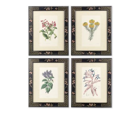 A set of twelve 19th century coloured botanical prints  after Joseph Paxton mounted within later decorative chinoiserie style