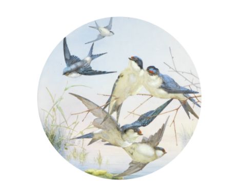 A pair of late 19th century framed circular porcelain plaques painted with birdsprobably attributable to the Worcester Porcel