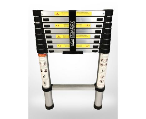 An aluminium telescopic ladder. 