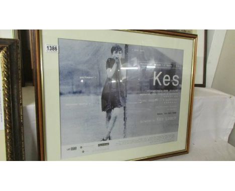 Kes film poster/print, from the 3oth anniversary re-release in 1999 directed by Ken Loach, featuring David Bradley, Freddie F