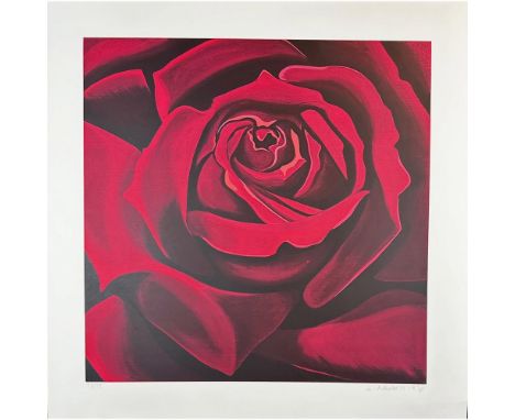 Screenprint titled Rose Year 1978 Signed lower right numbered 98/175 Sight size 29" x 29"