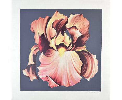 Screenprint titled Iris Year 1978 Signed lower right numbered 7/175 Sight size 29" x 29"