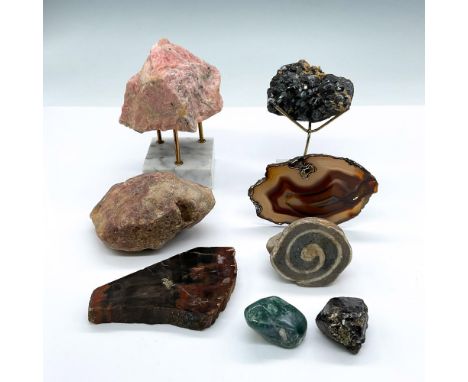 This is a fascinating collection of petrified wood, a fossilized snail, sliced agate, moss agate tumble stone, galena, black 