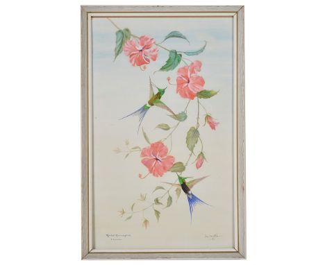 Iris Darnton (British, 20th century):A pair of oils on paper of ornithological subjects, 'Ruby Topaz Hummingbirds, Tobago' & 