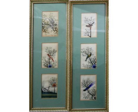 Two framed and glazed Persian studies of birds, each containing three painted studies of birds on silk, 6 x 11cm each panel (