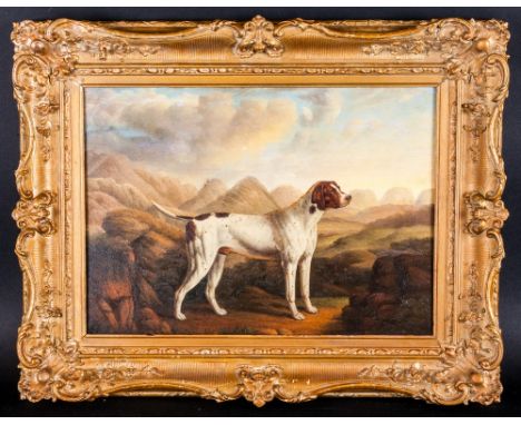 A Mid 19th Century Study Of A Pointer Dog oil on panel. Unsigned. Period Frame,. 11x16''