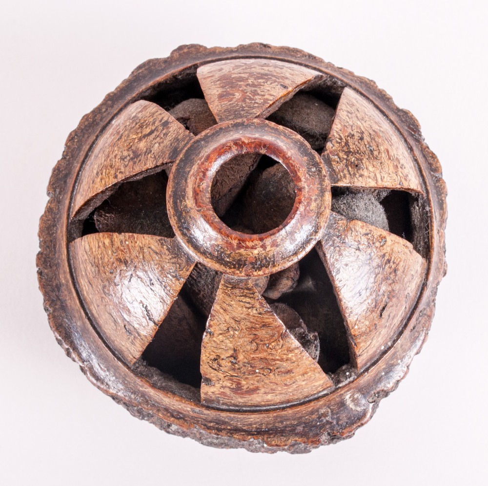 Bahia Large Carved Round Brazil Nut POd with heavy outer shell cut away