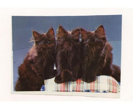 
	
		Isabel Reitemeyer
		Three Cats, 2022
		Paper Collage on Paper
		Signed verso
		10 x 15cm (3¾ x 5¾ in.)
		
		About 
		&nb