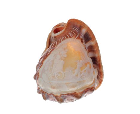 19th century carved cameo shell lamp shade, decorated with three winged putto on a chariot, 5.25" high 