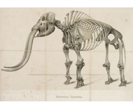 Warren (John C.). The Mastodon Giganteus of North America, 2nd edition ('with additions'), Boston: John Wilson and Son, 1855,