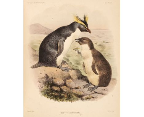 Sclater (Philip Lutley). Report on the Scientific Results of the Voyage of H.M.S. Challenger during the Years 1873-76 ... Zoo