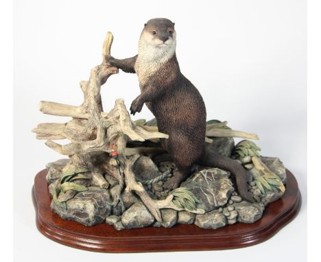 Border Fine Arts - Model of an otter 'River Sentinel' B0362 Ltd edition, on wood plinth, with certificate. 