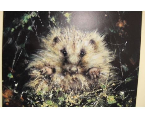 AN UNFRAMED SIGNED LIMITED EDITION DAVID SHEPHERD PRINT ENTITLED BABY HEDGEHOG 1124/1500