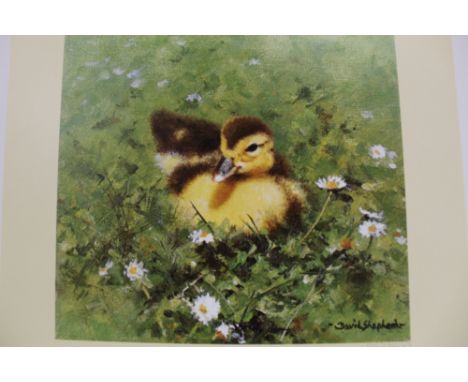 AN UNFRAMED SIGNED LIMITED EDITION DAVID SHEPHERD PRINT ENTITLED ZIGGY 1162/1500