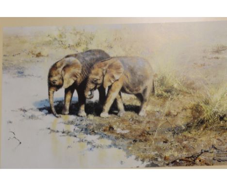 AN UNFRAMED SIGNED LIMITED EDITION DAVID SHEPHERD PRINT ENTITLED AFRICAN BABIES 1235/1500