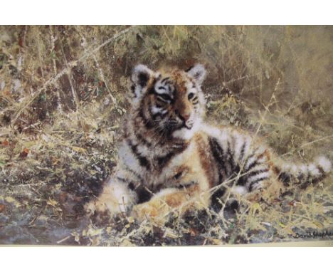 AN UNFRAMED SIGNED LIMITED EDITION DAVID SHEPHERD PRINT ENTITLED TEENAGE TIGER 1385/1500