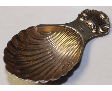 SILVER SHELL CADDY SPOON